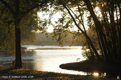 Recreational Area am Cedar River in Waverly, Foto: P. Grttner, 2018