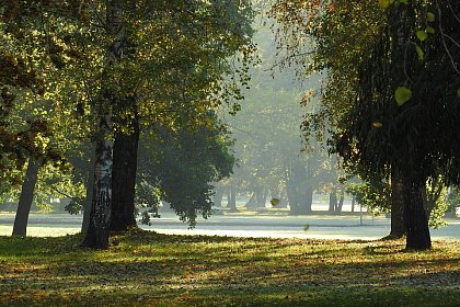 Zahlreiche Parks laden zum Verweilen ein (Foto: https://pixabay.com/de/photos/die-b%c3%a4ume-im-herbst-herbst-park-2052255/)