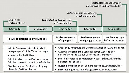 Studiendesign und Variablen ab Wintersemester 2024/25 (eigene Darstellung)